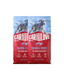 CARNILOVE Active Dog Salmon & Turkey 2x12 kg Junior Large Breeds łosoś i indyk, dla dorastających juniorów ras dużych