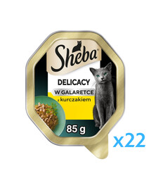 SHEBA Delicacy z kurczakiem w galaretce 22 x 85 g mokra karma dla kotów