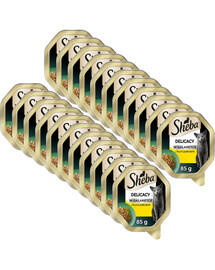 SHEBA Delicacy z kurczakiem w galaretce 22x85 g mokra karma dla kotów