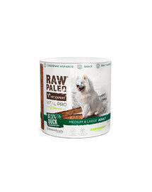 RAW PALEO Vital Pro Dental Duck Medium Large 100g monoproteinowy przysmak funkcjonalny dla psów