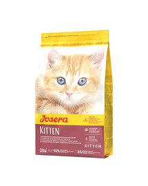 Cat Minette 2 kg
