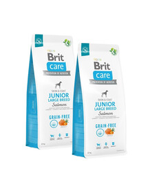 BRIT Care Grain-free Junior Large Breed karma sucha z łososiem 2x12 kg