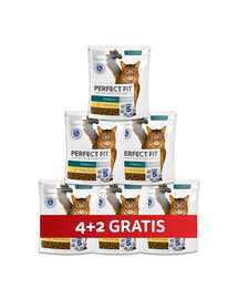 PERFECT FIT Sterile 1+ 6 x 750 g sucha karma pełnoporcjowa dla dorosłych kotów bogata w kurczaka 4+2 GRATIS