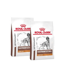 ROYAL CANIN Dog Gastro Intestinal Low Fat 2x12 kg sucha karma o obniżonej zawartości tłuszczu dla psów z zaburzeniami żołądkowo-jelitowymi