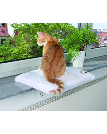 Trixie guolis ant palangės