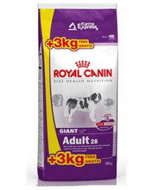 ROYAL CANIN Giant adult 15 kg + 3 kg dāvanā