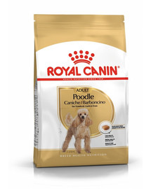 Royal Canin Poodle Adult 1,5 kg