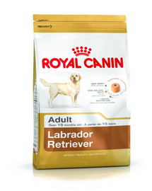 Royal Canin Labrador Retriever Adult 3 kg