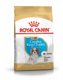 Royal Canin Cavalier King Charles Junior 1,5 kg