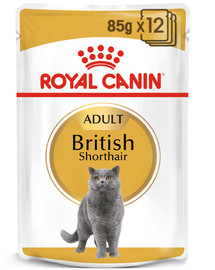 Royal Canin British Shorthair 85 g maisiņi 12 X 85 g