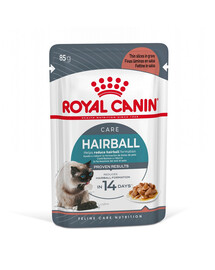 Royal Canin Hairball Care 85 g X 12