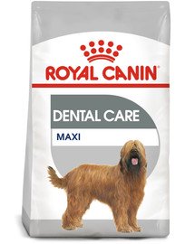 ROYAL CANIN Maxi Dental Care 3 kg