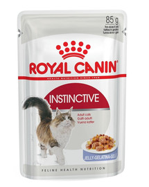 Royal Canin Instinctive želejā 12 X 85 g