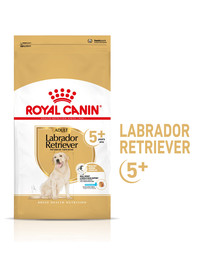 ROYAL CANIN Labrador Retriever Adult 5+ 12 kg sausā barība pieaugušiem Jorkšīras terjeriem, kas vecāki par 5 gadiem