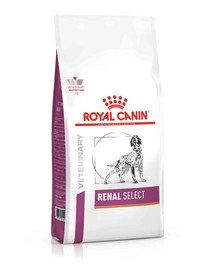 Royal Canin Dog Renal 2 kg
