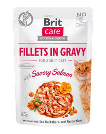 BRIT Care Cat Fillets in gravy savory salmon 85 g laša fileja mērcē