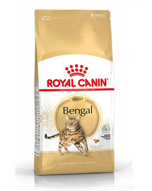 ROYAL CANIN Bengal Adult sausas maistas suaugusioms bengalijos katėms 20 kg (2 x 10 kg)
