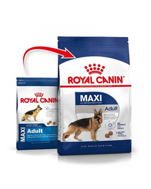 ROYAL CANIN Maxi Adult 30 kg (2x15kg) sausā barība pieaugušiem suņiem līdz 5 gadu vecumam, lielajām šķirnēm