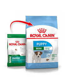 ROYAL CANIN Mini Puppy / Junior 8 kg sausā barība kucēniem no 2 līdz 10 mēnešiem, mazām šķirnēm + Mini kucēns 12x85 g