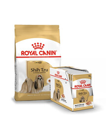 ROYAL CANIN Shih Tzu Adult sausas maistas suaugusiems ših tzu šunims 1,5 kg + 12 x 85 g drėgno maisto paketėlių, gabaliukai padaže