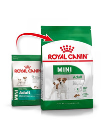 ROYAL CANIN Mini Adult 16 kg (2 x 8kg) sausā barība pieaugušiem mazo šķirņu suņiem