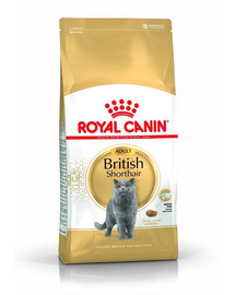 ROYAL CANIN British Shorthair sausā barība pieaugušiem britu īsspalvaino kaķiem 10kg + 12x85g mitrā barība