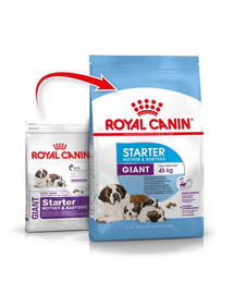 ROYAL CANIN Giant Starter Mother&Babydog 30 kg (2 x 15 kg) sausas maistas nėščioms ir žindančioms kalėms ir 4–8 savaičių amžiaus šuniukams, milžiniškos veislės