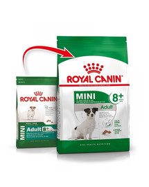 ROYAL CANIN Mini Adult 8+ (2 x 8 kg) sausā barība vecākiem suņiem no 8 līdz 12 gadiem, mazām šķirnēm 16 kg