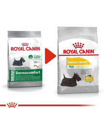 ROYAL CANIN CCN Mini Dermacomfort sausas maistas suaugusių mažų veislių šunims su jautria oda, linkęs į dirginimą 16 kg (2 x 8 kg)