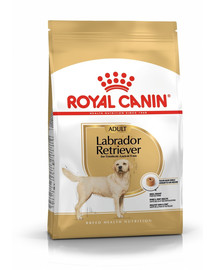 ROYAL CANIN Labrador retriever adult 24 kg (2 x 12 kg) sausas maistas suaugusiems labradoro retriverio šunims