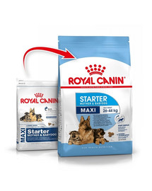 ROYAL CANIN Maxi Starter Mother&Babydog 30 kg (2 x 15 kg) sausas maistas nėščioms ir žindančioms kalėms bei 4–8 savaičių amžiaus šuniukams, didelėms veislėms