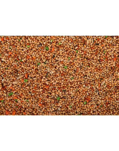 MEGAN Barība papagaiļiem 1l/770g