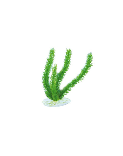 AQUAEL Plastmasas augs Ap-048 8" (20Cm)