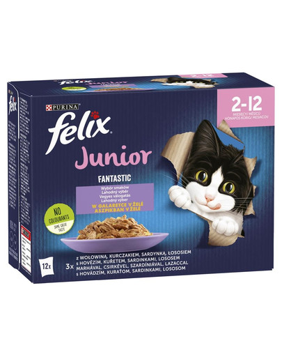 FELIX FANTASTIC Junior garšu mix želejā (liellopu gaļa, vistas gaļa, sardīne, lasis) 12x85g mitrā kaķēnu barība