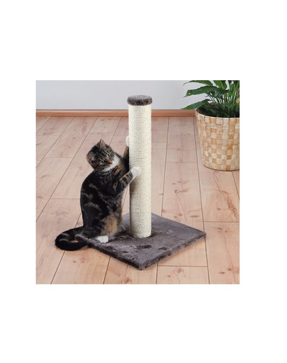 Trixie draskyklė iš sizalio virvės 62 cm
