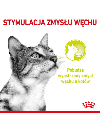 ROYAL CANIN Sensory Sauce aromāta mērce, barība kaķiem 12x85 g