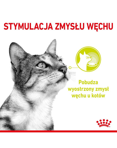 ROYAL CANIN Sensory Smell, Taste, Feel gabaliņi mērcē kaķiem 12 x 85 g sensorā stimulācija