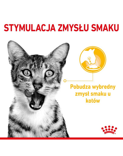 ROYAL CANIN Sensory Smell, Taste, Feel gabaliņi mērcē kaķiem 12 x 85 g sensorā stimulācija