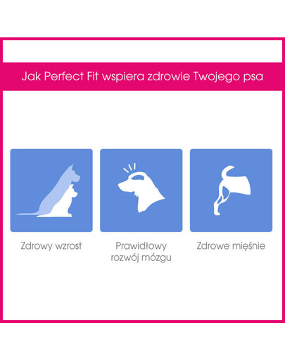 PERFECT FIT Junior (<1 gads) Bagāts ar vistas gaļu vidēju un lielu šķirņu suņiem 2 x 14.5 kg