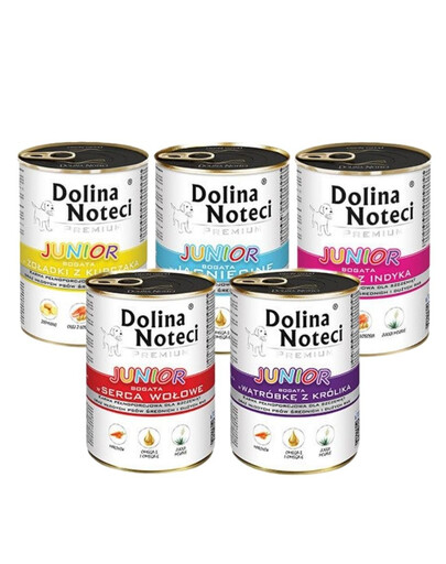 DOLINA NOTECI Junior Premium Mix вкусов   24x400g