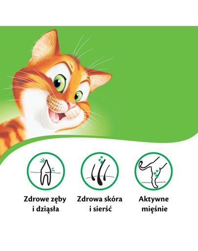 KITEKAT sausā barība ar zivīm un dārzeņiem 12 kg