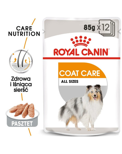 ROYAL CANIN Coat Care mitrā barība - pastēte pieaugušiem suņiem ar blāvu kažoku 48 x 85 g