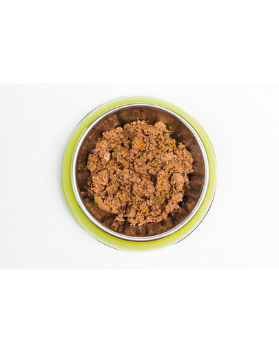 ARUBA Dog Bioloģiska vistas gaļa ar ķirbi, kabačiem un piena dadzis 100 g