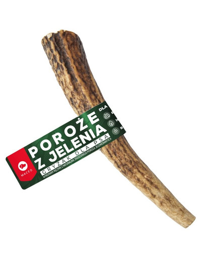 MACED BRIEŽU RAGI izm. L