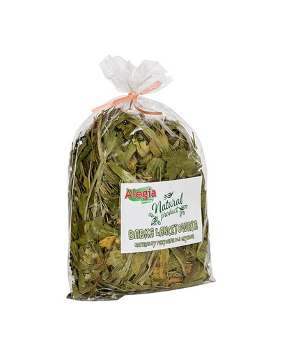 ALEGIA Lance-wort 100g ārstniecības līdzeklis grauzējiem un trušiem