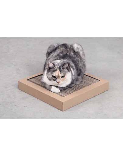 CARTON+ PETS Kartona kaķu skrāpis Tom