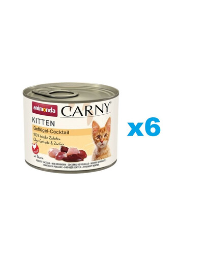 ANIMONDA Carny Kitten Poultry Cocktail 6x200 g koktajl drobiowy dla kociąt