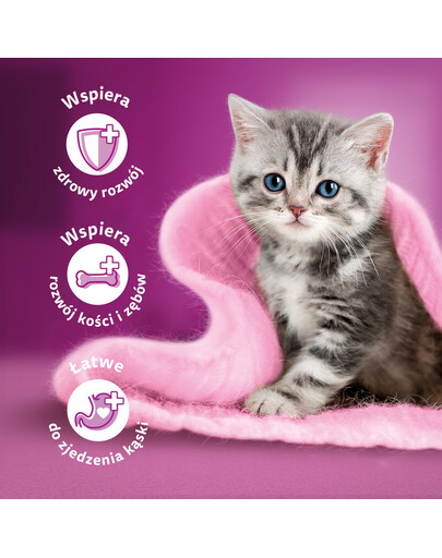 WHISKAS Junior paciņa 48x85g Drobiowe Frykasy kaķu barība želejā ar: vistas gaļu, tītara gaļu, mājputnu gaļu, pīles gaļu