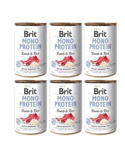 BRIT Mono Protein Lamb & Rice 6x400 g monoproteīnu barība jēra gaļa un rīsi