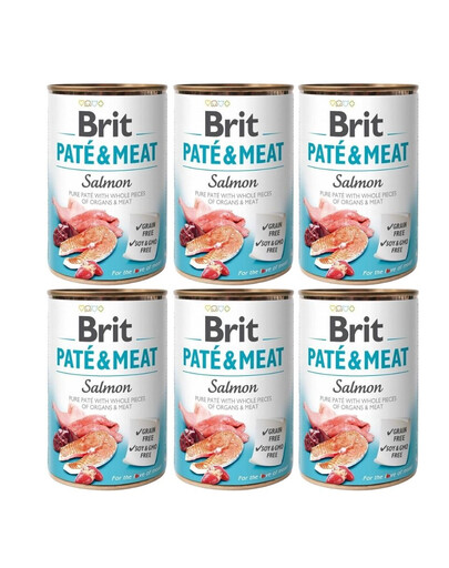 BRIT Pate&Meat salmon 6x400 g laša pastēte suņiem